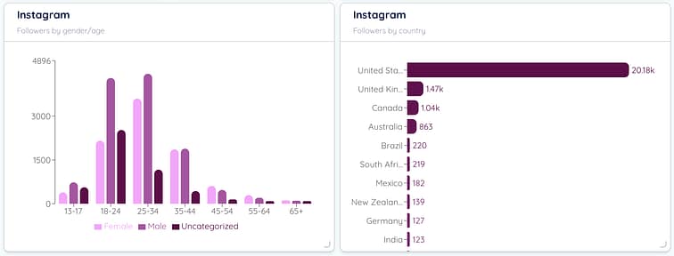 Instagram Demographic Data